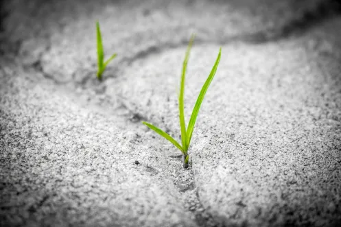 About Daily Motivation Online